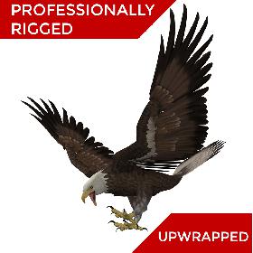 3D 3D Bald Eagle American Rigged Model model